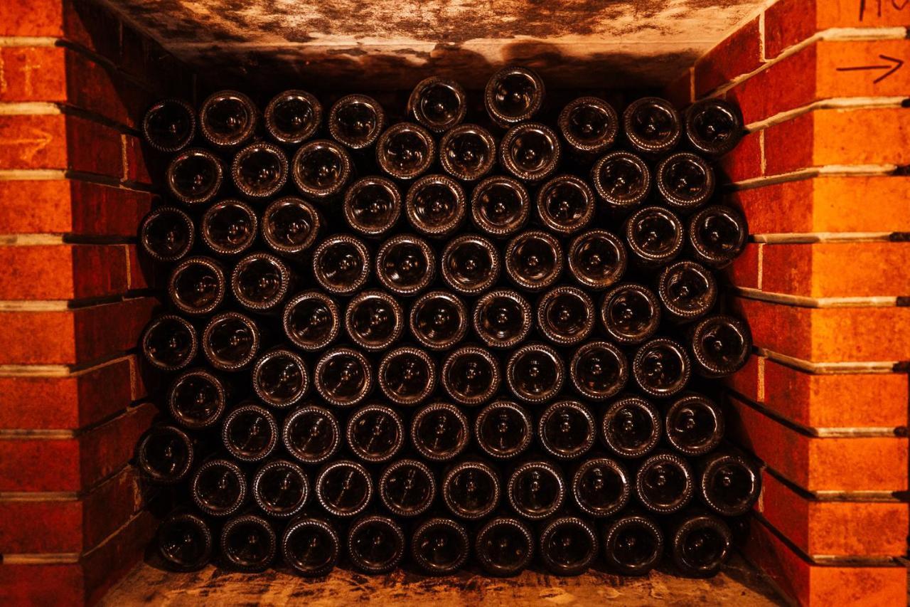 Wine Paradise Glavinic Miklavz pri Ormozu المظهر الخارجي الصورة