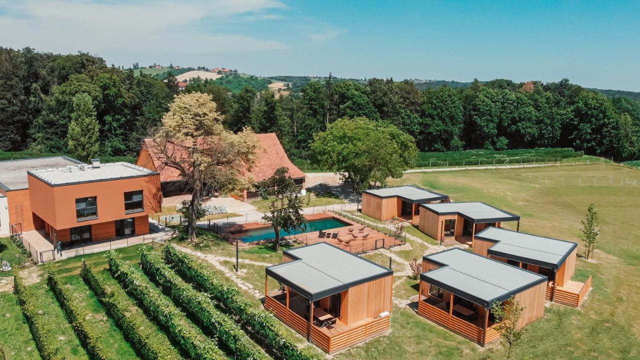 Wine Paradise Glavinic Miklavz pri Ormozu المظهر الخارجي الصورة